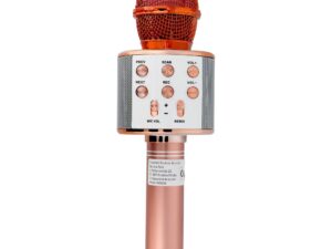Multimedia karaoke microphone CR58 pink gold