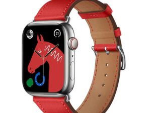 HOCO strap for Apple Watch 38 / 40 / 41 mm WA17 red