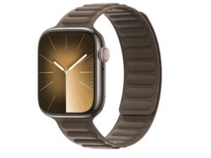 DUX DUCIS strap BL magnetic for Apple Watch 42 / 44 / 45 mm taupe