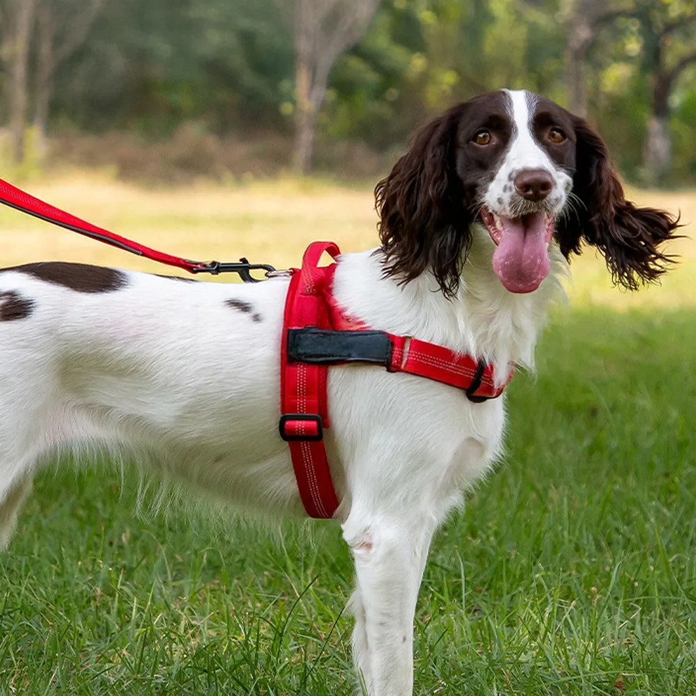 Dog harness REFLECTIVE SILK size S red - Image 3